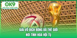 Giải Vô Địch Bóng Đá Thế Giới - Nơi Tinh Hoa Hội Tụ